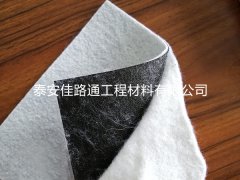 創(chuàng)新守護(hù)，防滲土工膜的全方位保護(hù)策略