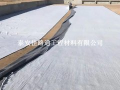 膨潤(rùn)土防水毯施工注意事項(xiàng)：細(xì)致入微，確保無(wú)
