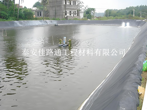 魚蝦養(yǎng)殖防滲膜選黑還是白？掌握這些原則不選錯(cuò)