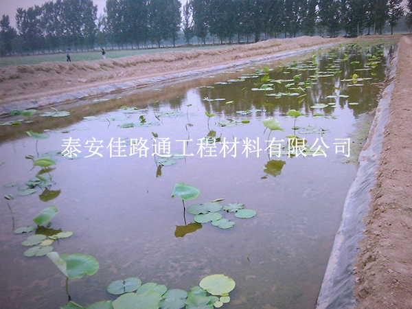 養(yǎng)殖防滲膜施工別大意，這些控制要點要抓實